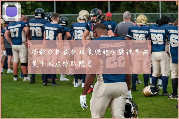 杨毅分析森林狼表现起伏爱德华兹复出或成球队隐患